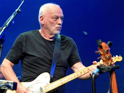 david gilmour today.